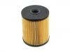 燃油濾清器 Fuel Filter:5015581AD