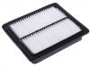 空氣濾清器 Air Filter:A21-1109111GA