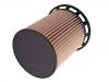 燃油濾清器 Fuel Filter:4M0 127 434 B